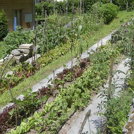 Eco-Hotel Cristallina Coglio Extérieur photo
